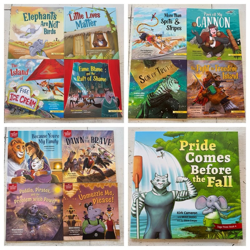 Brave Books Lot of 13 Saga 1: 1-10, Saga 2: 1-2, Saga 3: 4 Plus Activity Books!