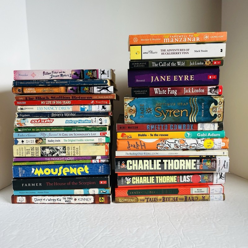 Lot of 10 Random 6th-7th grade Children’s Kids Chapter Book Some series Middle