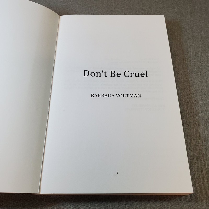 Don't Be Cruel Barbara Vortman 2017 Teen YA Rock Roll Fiction gallery