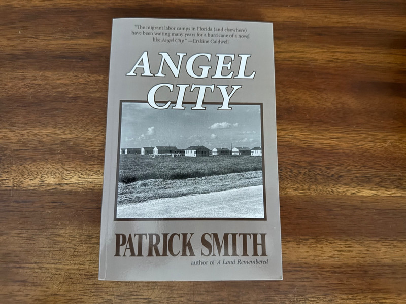 Angel City by Patrick D. Smith (2012, Trade Paperback) FREE SHIPPING