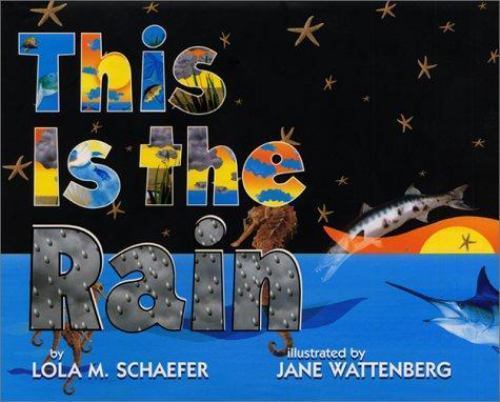 This Is the Rain by Lola M. Schaefer