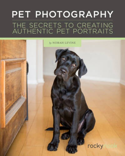 Pet Photography: The Secrets to Creating Authentic Pet Portraits – GOOD