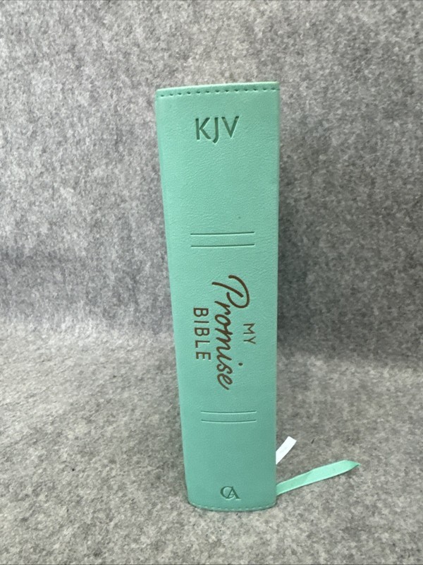 KJV Holy Bible, My Promise Bible, Faux Leather Hardcover w/Bible Tabs, Color... gallery