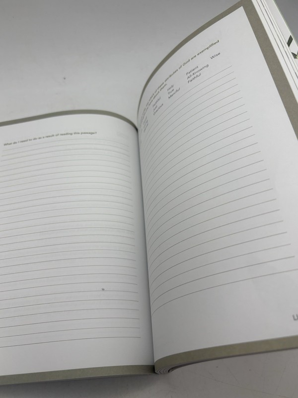 Finding I Am Lysa TerKeurst Bible Study Workbook Lifeway Christian gallery