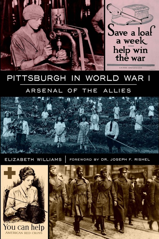 NEW The History Press Pittsburgh in World War I, PA 9781609498238 Military Trade