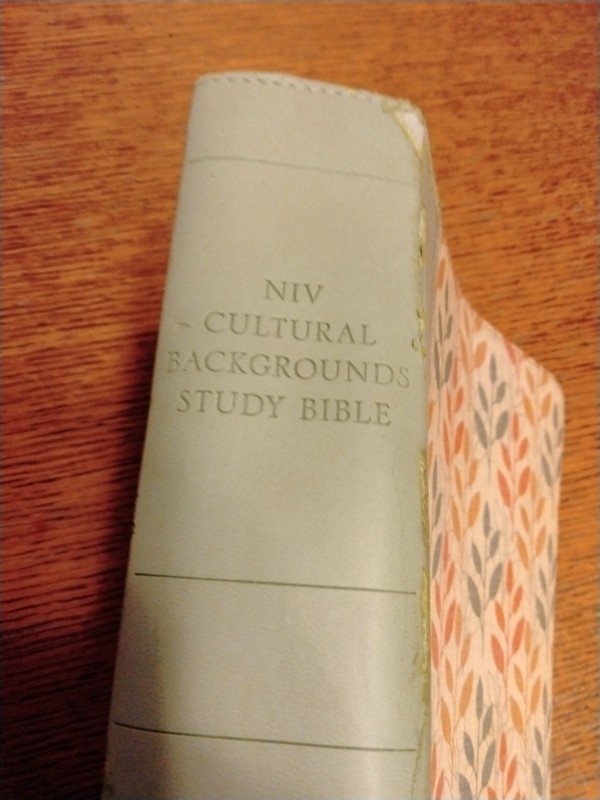 Zondervan NIV Cultural Backgrounds Study Bible Leathersoft Green gallery