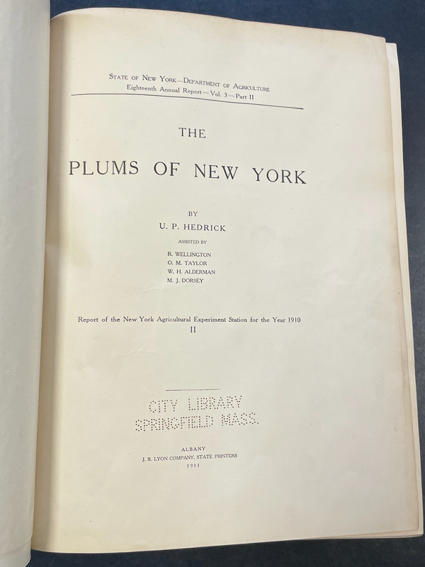 The Plums of New York U.P. Hendrick 1911 Volume 3 Part II Ex-Library 616 Pages gallery
