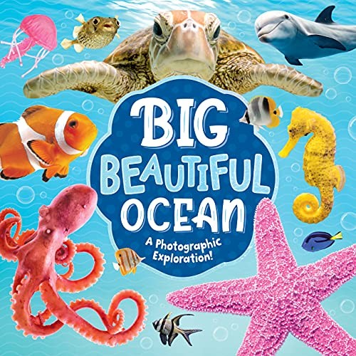 NEW-Big Beautiful Ocean: A Photographic Exploration-From Shores to Reefs to …