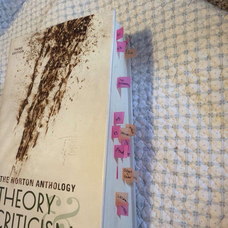 The Norton Anthology of Theory and Criticism (Third Edition) - Hardcover - GOOD gallery