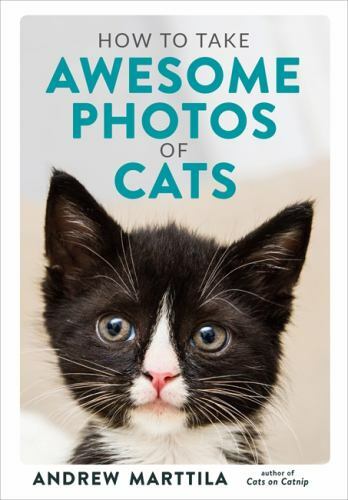 How to Take Awesome Photos of Cats Format: Hardback – Paper Over Boards