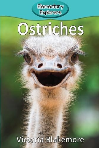 Victoria Blakemore Ostriches (Paperback) Elementary Explorers