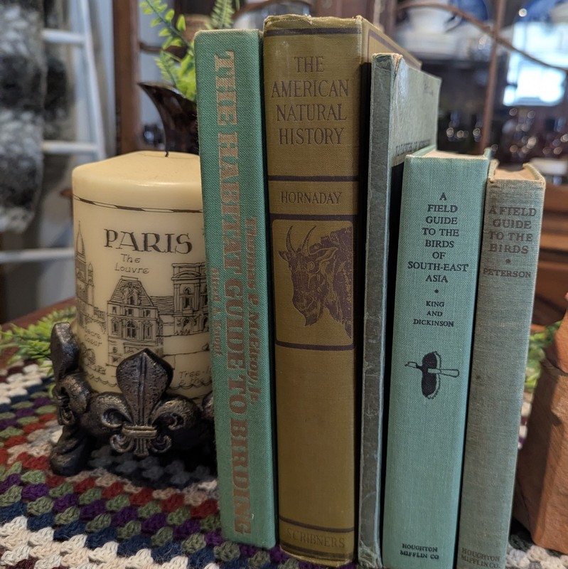 Lot of 5 Vintage Green Hardcover Books Decorative Academia English Chateaucore