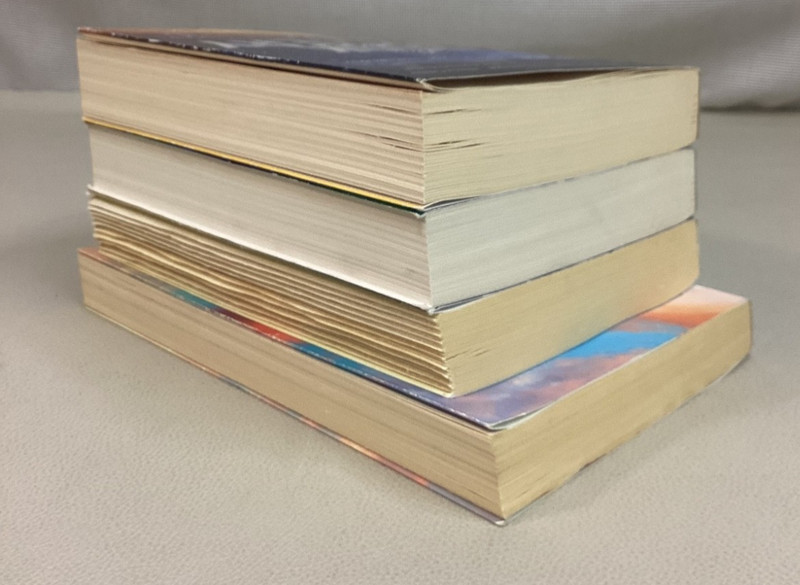 PSYCHIC Paul Selig Lot of 4 BOOK OF TRUTH, KNOWING & WORTH, MASTERY, THE KINGDOM gallery