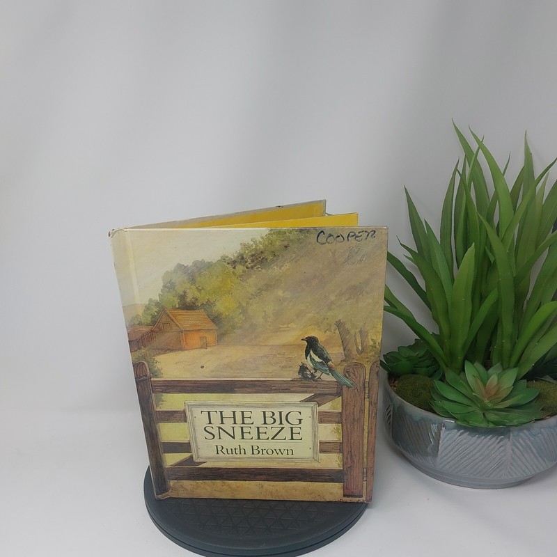 THE BIG SNEEZE By Ruth Brown – Hardcover Good 1st Edition 1985 Italy
