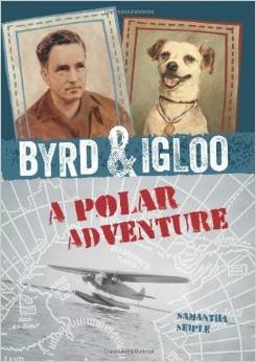 Byrd and Igloo : A Polar Adventure Hardcover Samantha Seiple