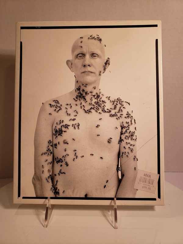 Richard Avedon Portraits by Maria Morris Hambourg