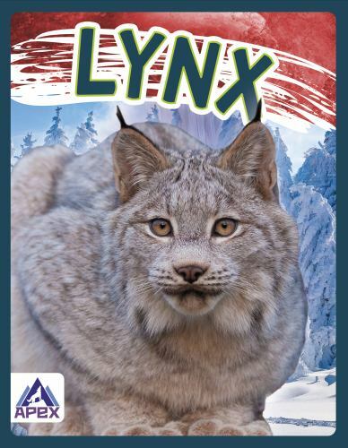 Lynx by