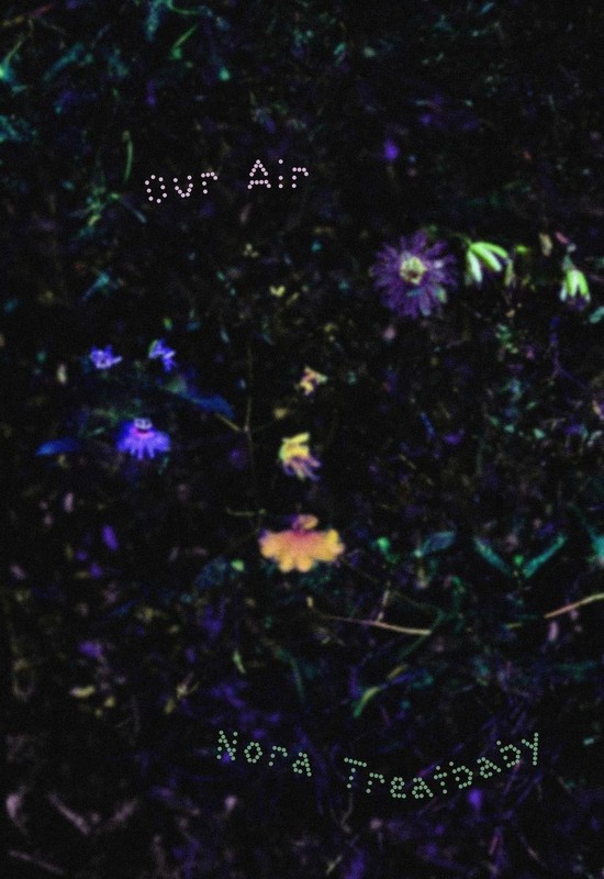 Our Air by Nora Treatbaby Paperback Book