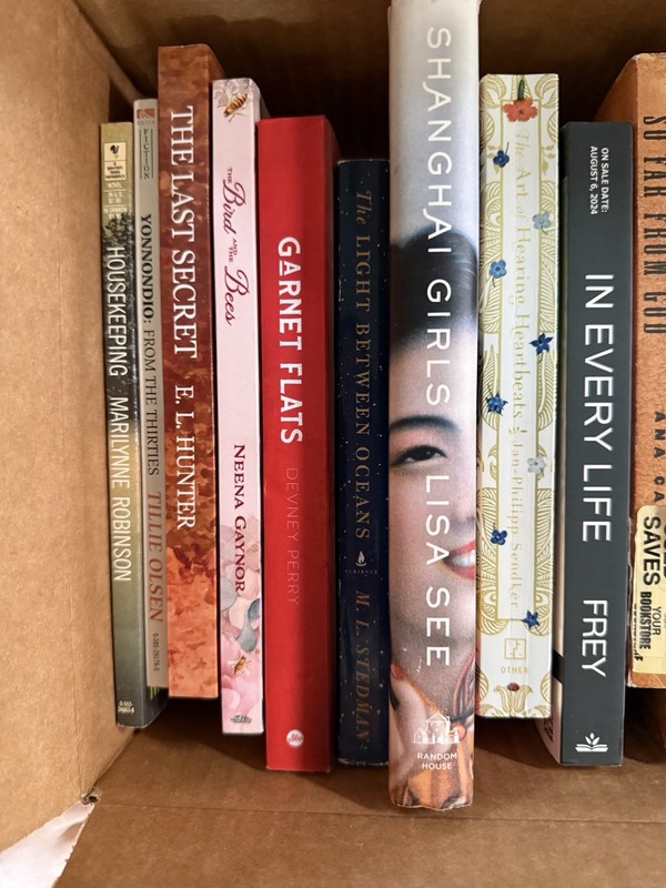Mixed Fiction Lot of 16 Women’s Lit Book Club Favorites Contemporary historic gallery