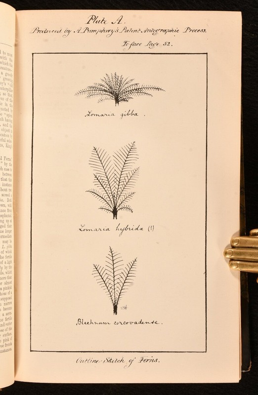 1877-9 5vol in 1 The Midland Naturalist; Annual Report And List Of Members Ve... gallery