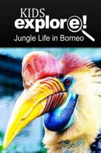 Jungle Life In Borneo – Kids Explore: Animal Books Nonfiction – Books Ages 5-6
