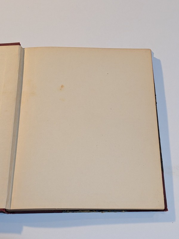 The Cross & the Hammer H. Bedford-Jones 1912 Tale Of Days Of Vikings Illustrated gallery