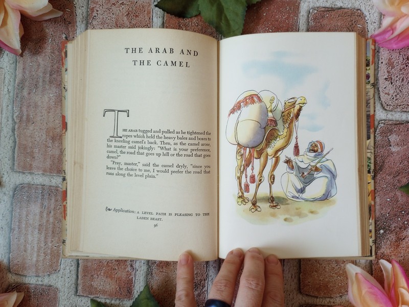 Aesops Fables Illustrated by Fritz Kredel Junior Library Vintage 1947 Hardcover gallery