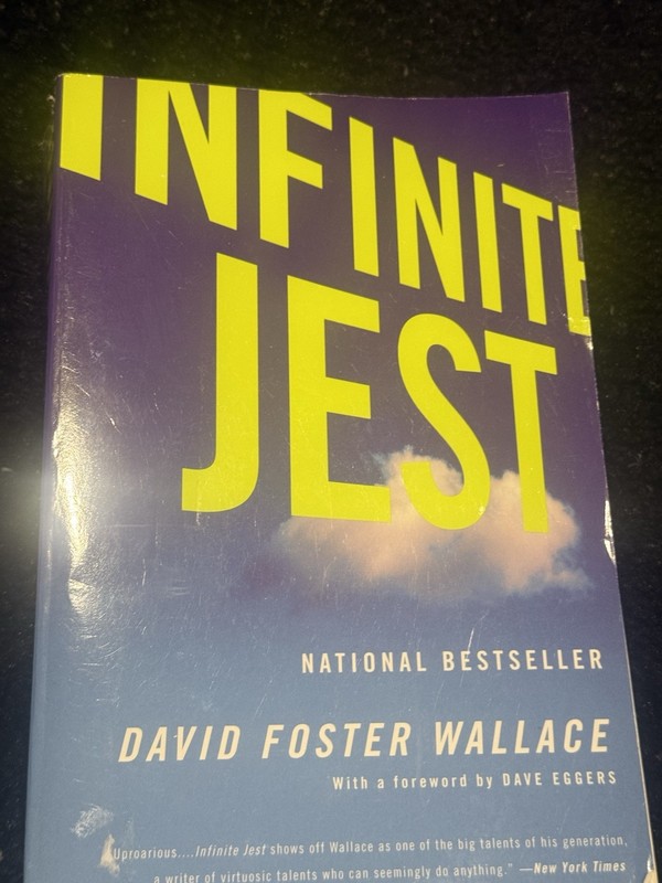 Infinite Jest by David Foster Wallace (2006, Perfect)