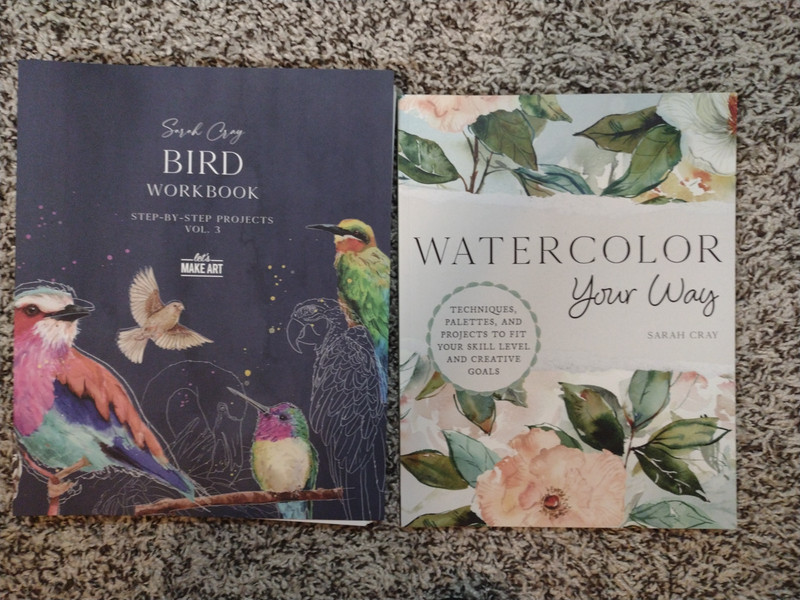 Sarah Cray’s BIrd Workbook and Watercolor Your Way: VERY GOOD!! See photos!