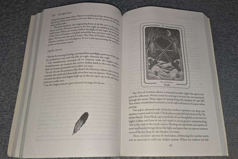 THE FIFTH TAROT Book Martien & Teressena Bakens 2008 RARE Blue Dolphin Guidebook gallery