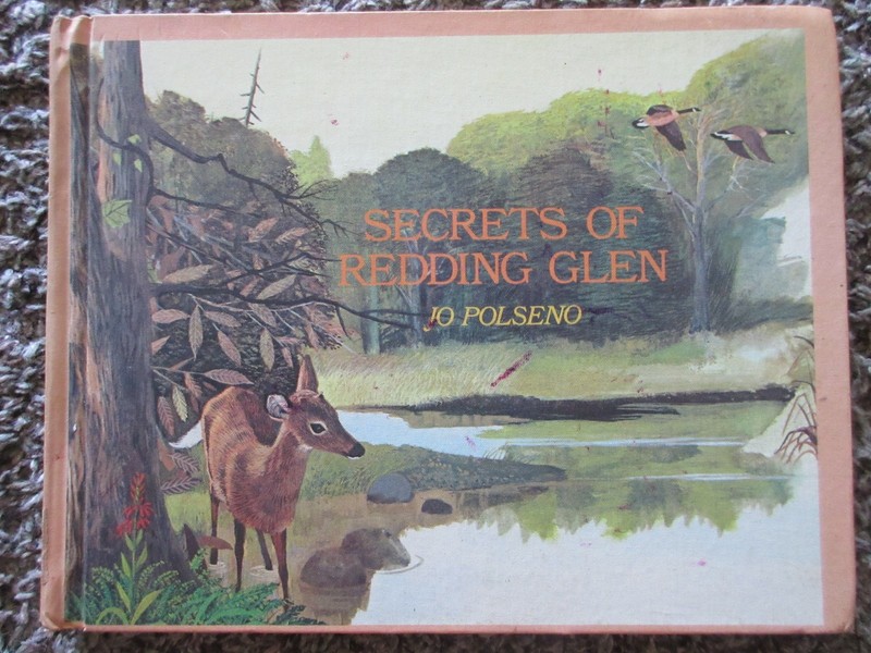 Secrets of Redding Glen (1973) by Jo Polseno Hardcover