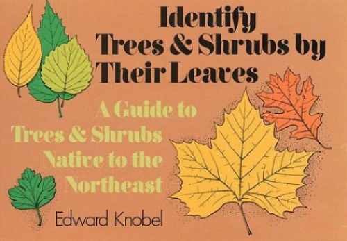 Identify Trees and Shrubs by Their – Paperback, by Edward Knobel – Very Good