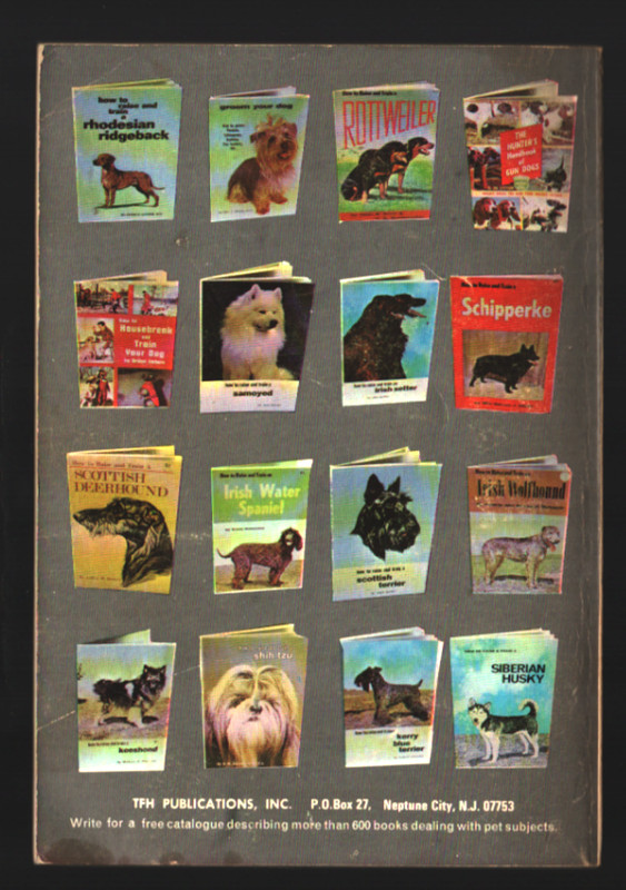 How to Raise and Train a Vizsla Ernest H Hart Vintage Dog Book 1968 Printing gallery