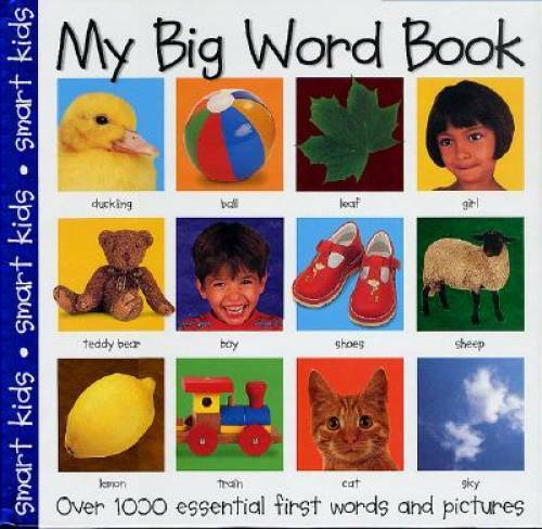 My Big Word Book (My Big Board Books) – Spiral-bound By Priddy, Roger – GOOD