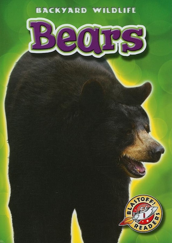 Bears (Backyard Wildlife) – ACCEPTABLE