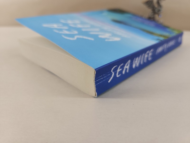 Sea Wife, Amity Gaige 2020 gallery