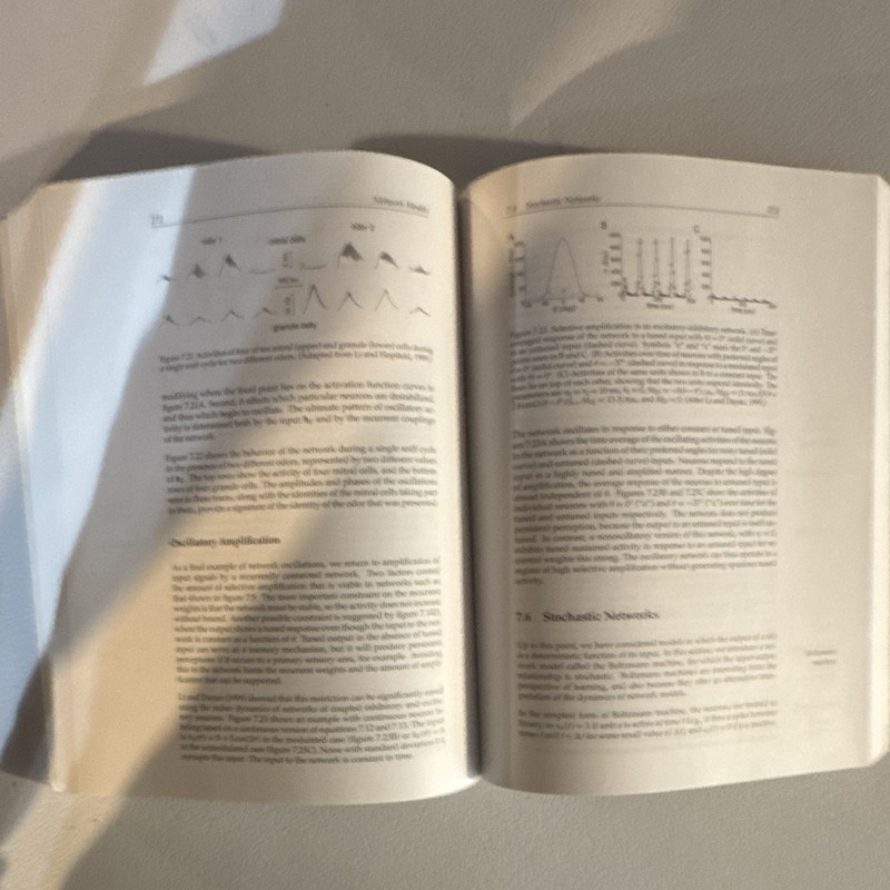 Theoretical Neuroscience Modeling, Dayan & Abbott, Paperback 2001 MIT 480p gallery