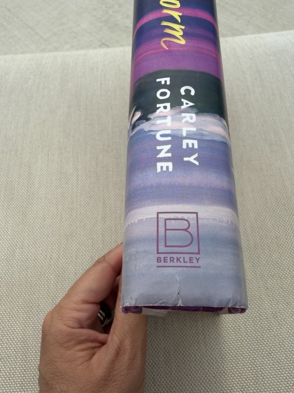 EUC Our Perfect Storm By Carley Fortune Hardback gallery