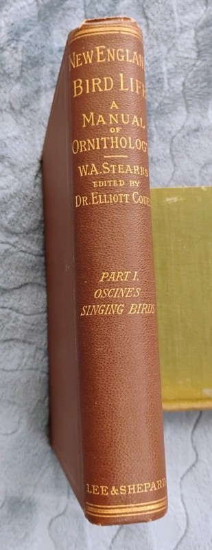 New England Bird Life Part 1 Oscines by Stearns HC rev 2nd ed Lee & Shepard 1883