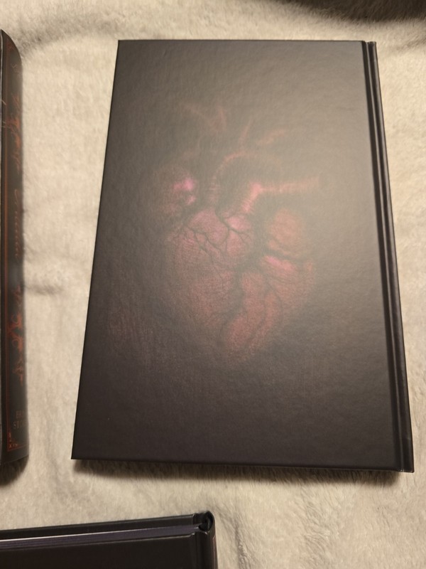 LitJoy Classics Gothic Box Set Dracula Poe Dorian Gray gallery