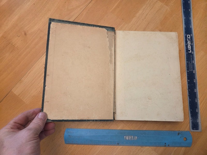 The Modern Devil by Rev. I. Mench Chambers - 1903 International Pub. Hardcover gallery