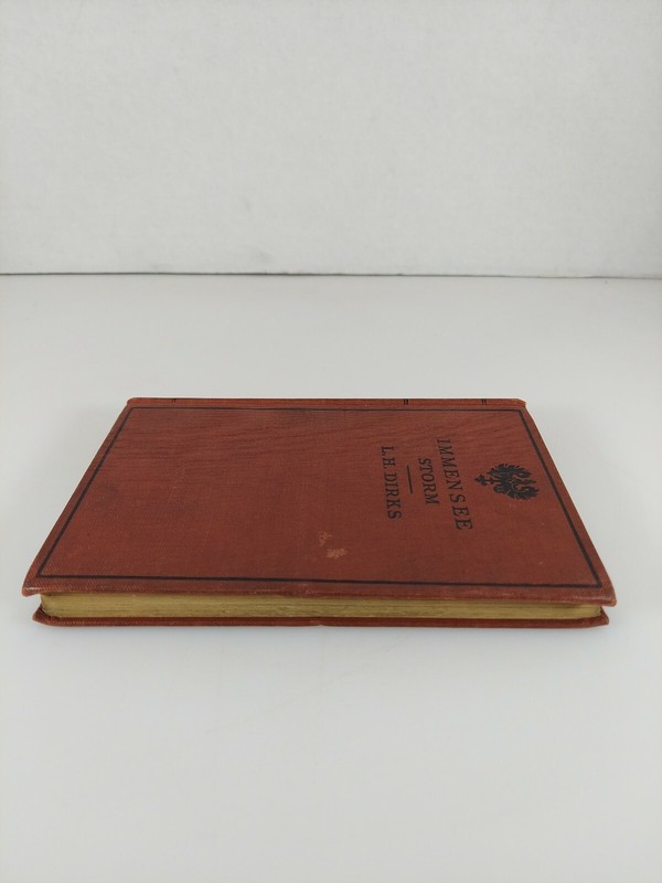 Immensee by Theodor Storm Edited by Louis H. Dirks German Reader Book 1916 HC gallery