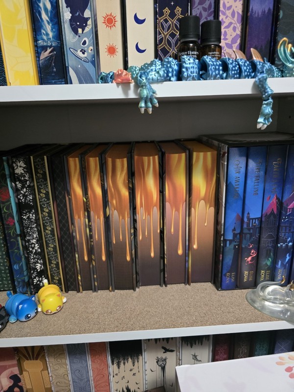 Bookish Box Completed The Plated Prisoner Series By Raven Kennedy gallery