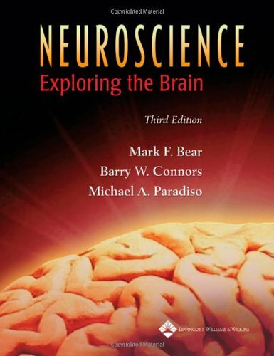 Neuroscience Exploring the Brain by Mark F Bear