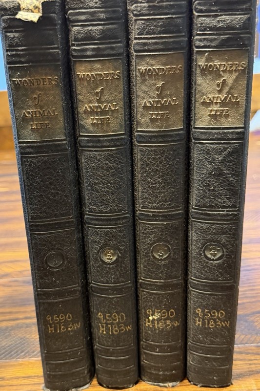 Wonders of Animal Life Volumes 1-4 J A Hammerton HC Waverley Natural History