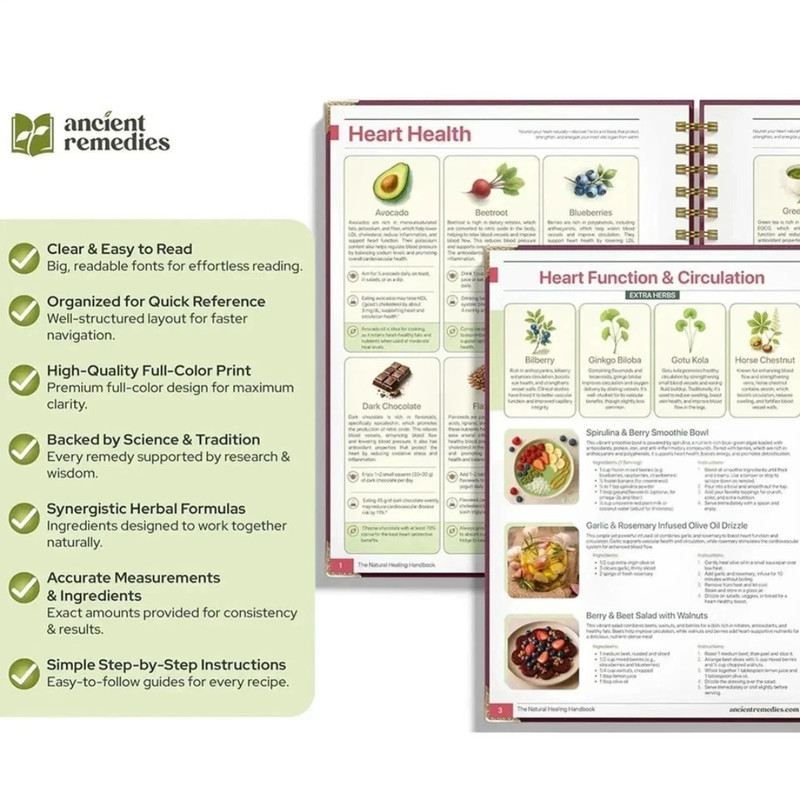 The Natural Healing Handbook Spiral Bound Guide For Herbal Remedies And NaturalT gallery