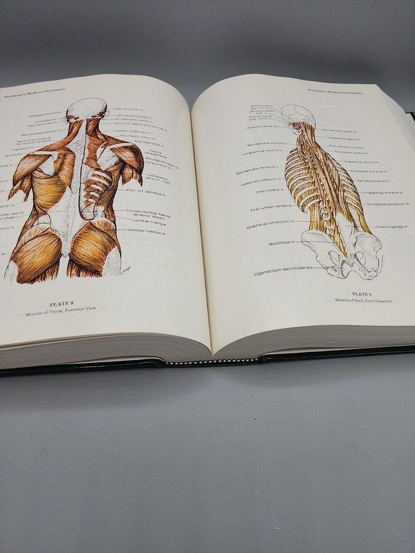 Stedman's Medical Dictionary 25th Edition Illustrated Hardbound 1,784 Pages gallery