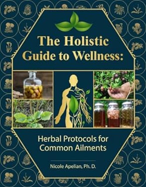 The Holistic Guide to Wellness : Herbal Protocols for Common Ailm
