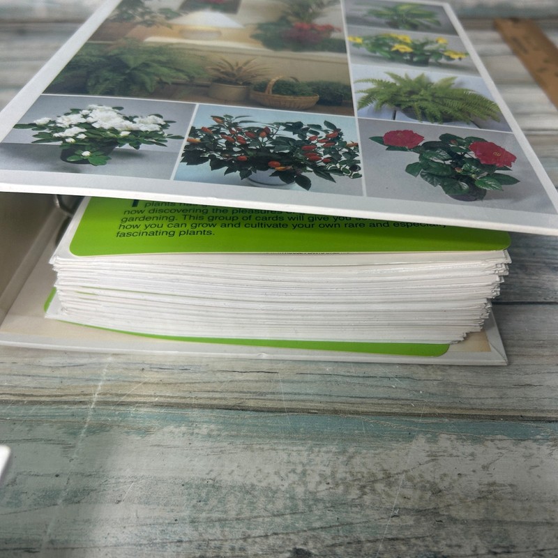 Success with House Plants 4 binders Sets 1 to 19 Plant Care Vintage gallery