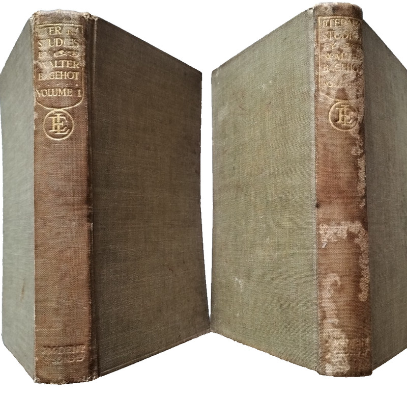 Ernest Rhys Everyman Literary Studies Vol 1 & 2 Essays Walter Bagehot Books